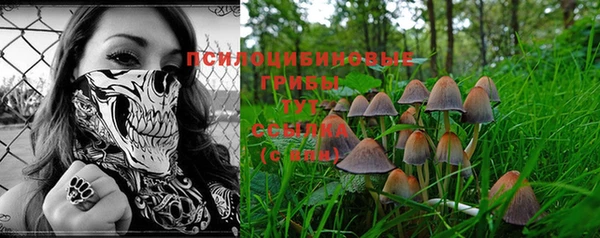 прущий лед Яровое
